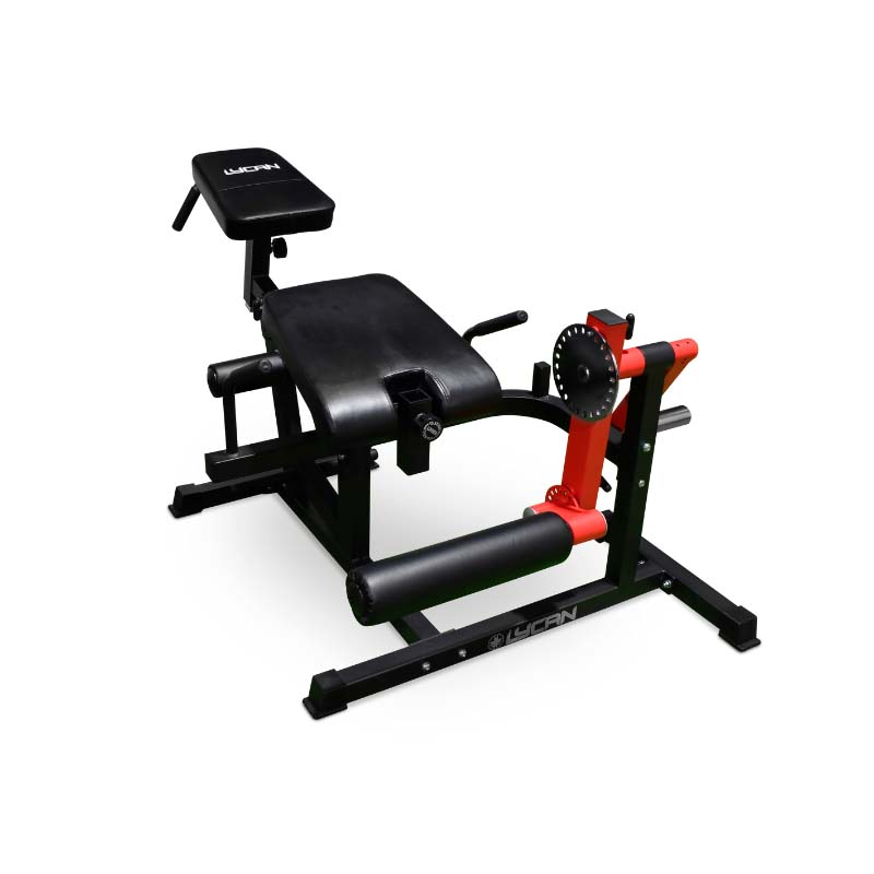 Elite Multi Trainer