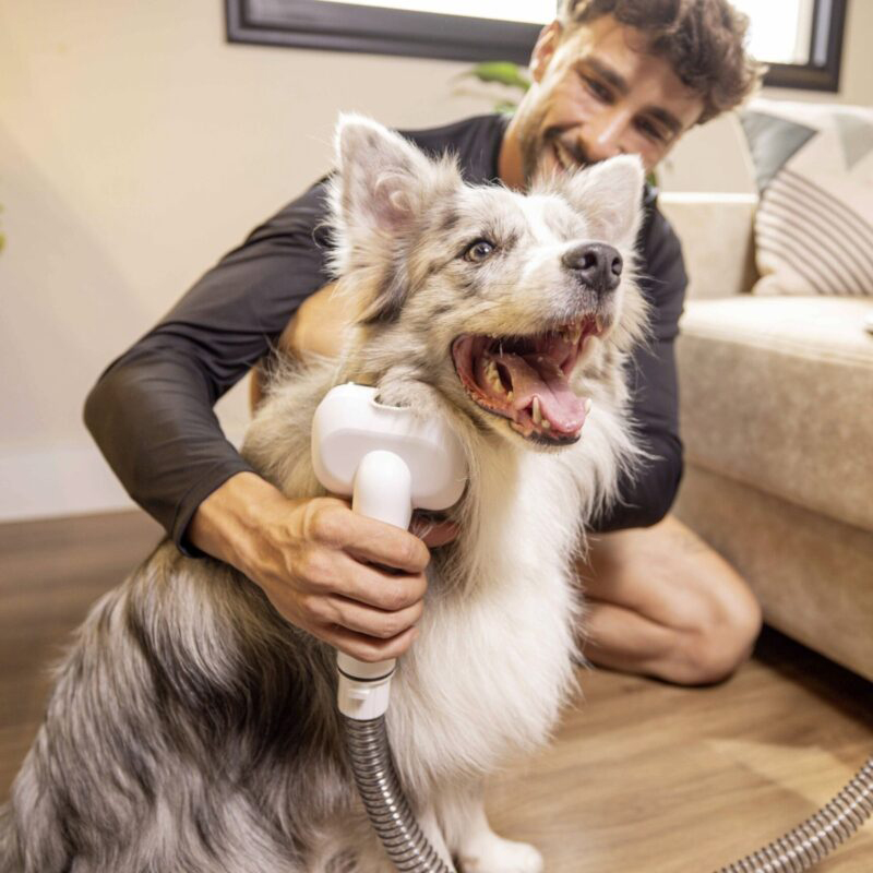 Aspiradora Grooming  Mascotas Pet Clean *MX Karcher