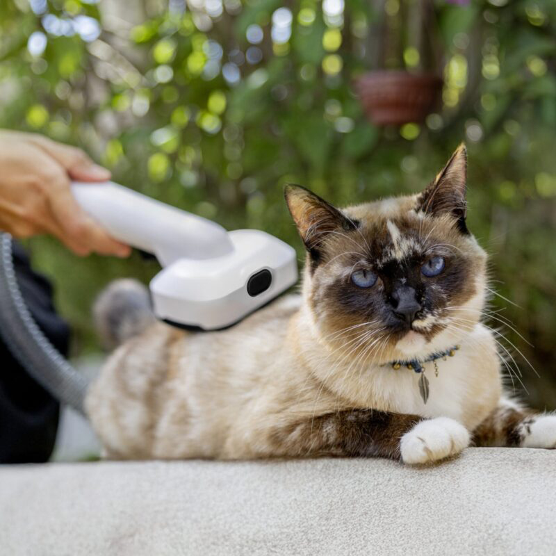 Aspiradora Grooming  Mascotas Pet Clean *MX Karcher