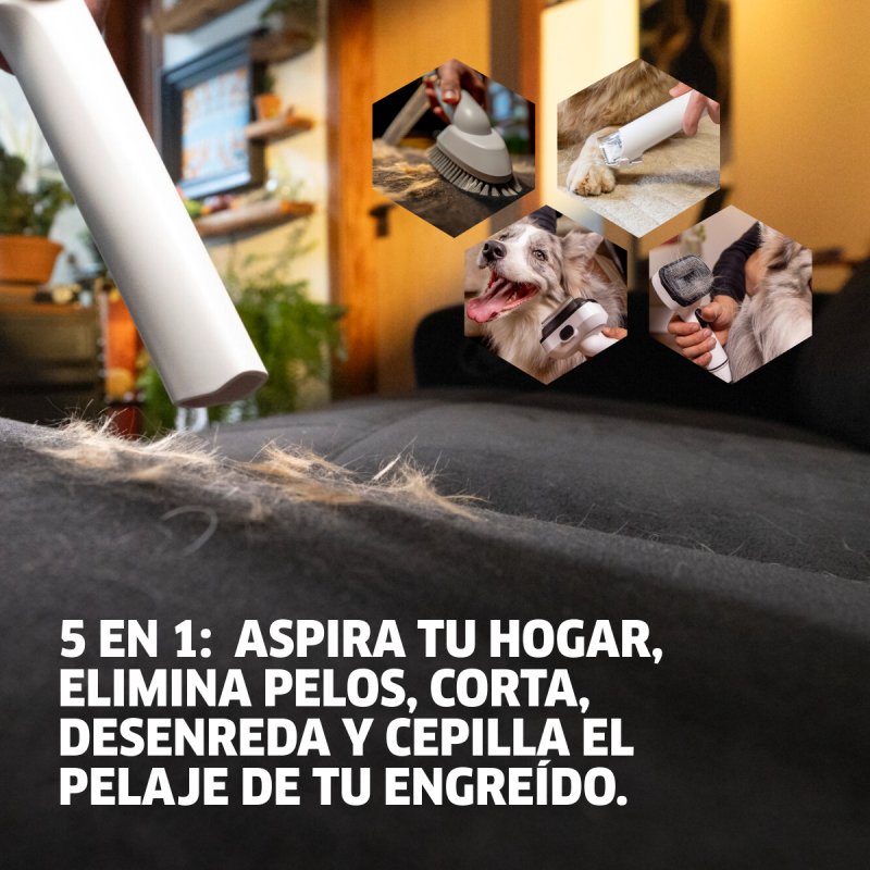 Aspiradora Grooming  Mascotas Pet Clean *MX Karcher