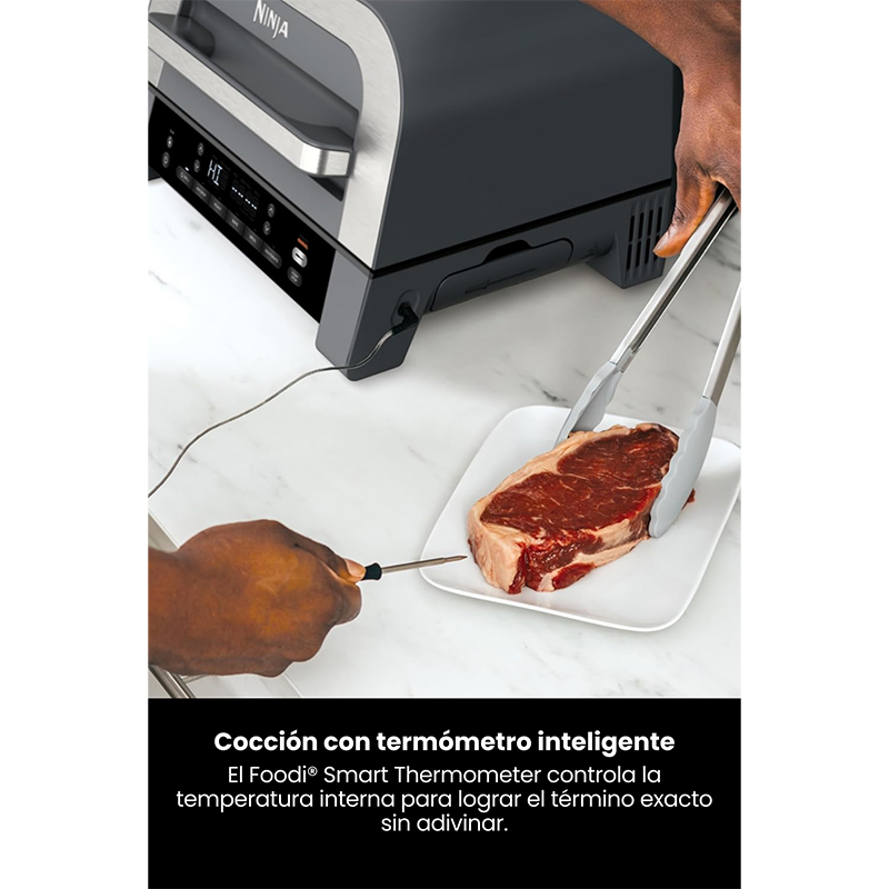 Parrilla Interior 6en1 DG551 Ninja 