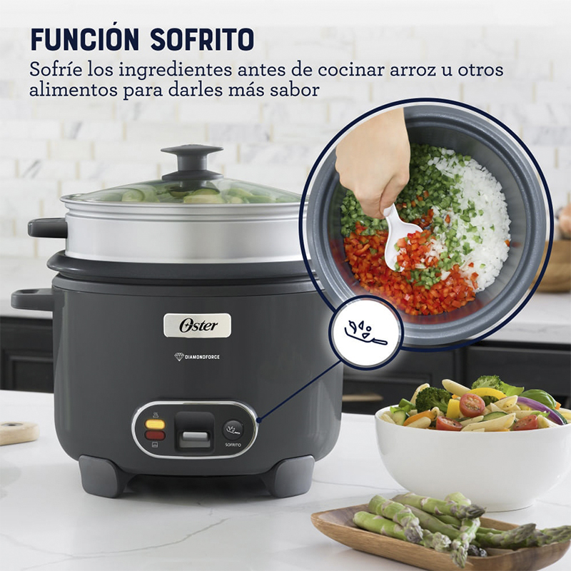 Olla Arrocera Gris Oster 10 Tazas
