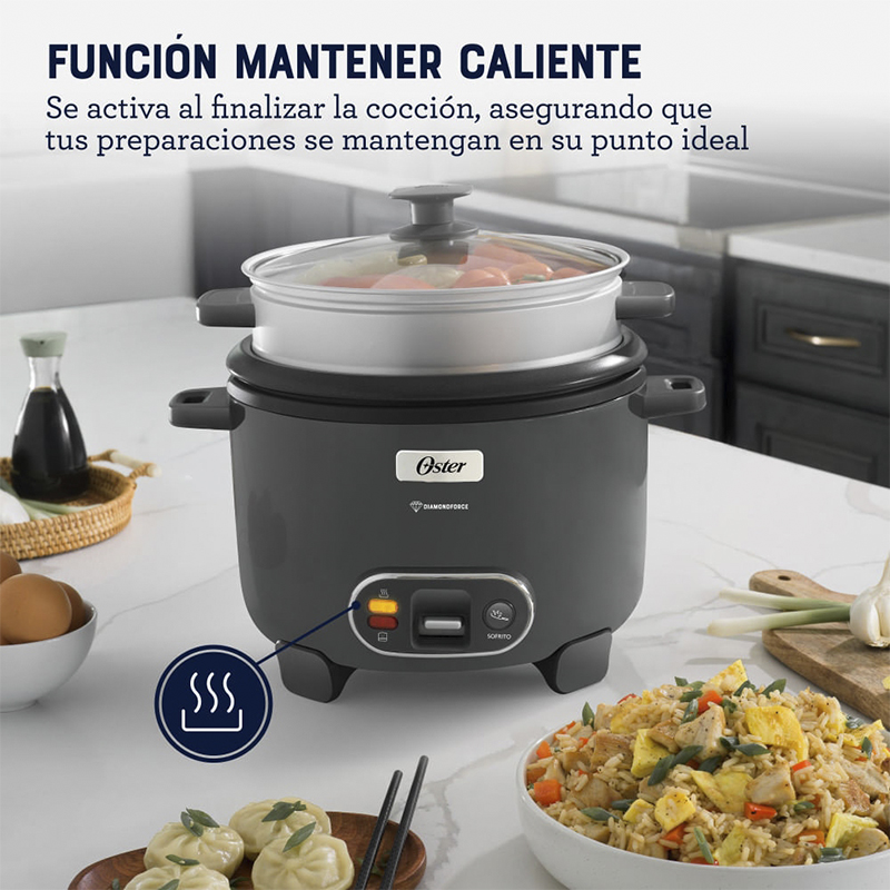 Olla Arrocera Gris Oster 10 Tazas