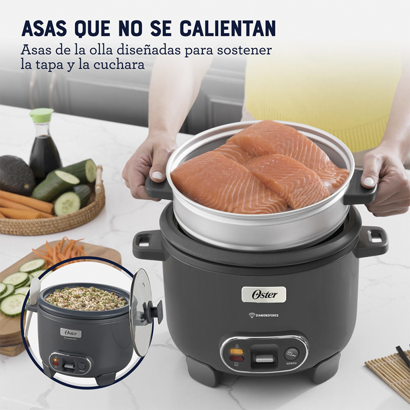 Olla Arrocera Gris Oster 10 Tazas