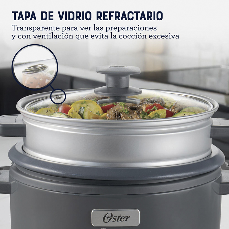 Olla Arrocera Gris Oster 10 Tazas