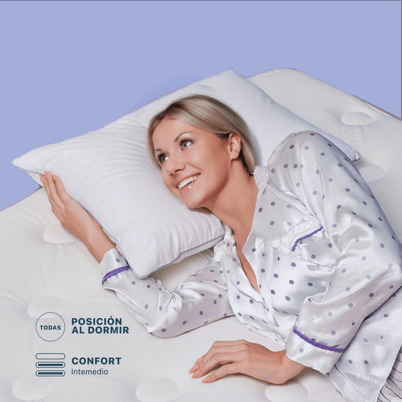 Almohada Beautyrest Dual Dream 90x50cm