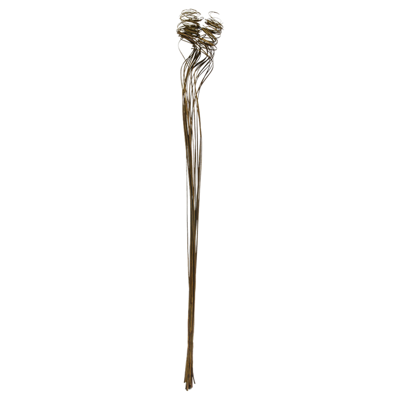 Curly Simple x24 Café 90cm