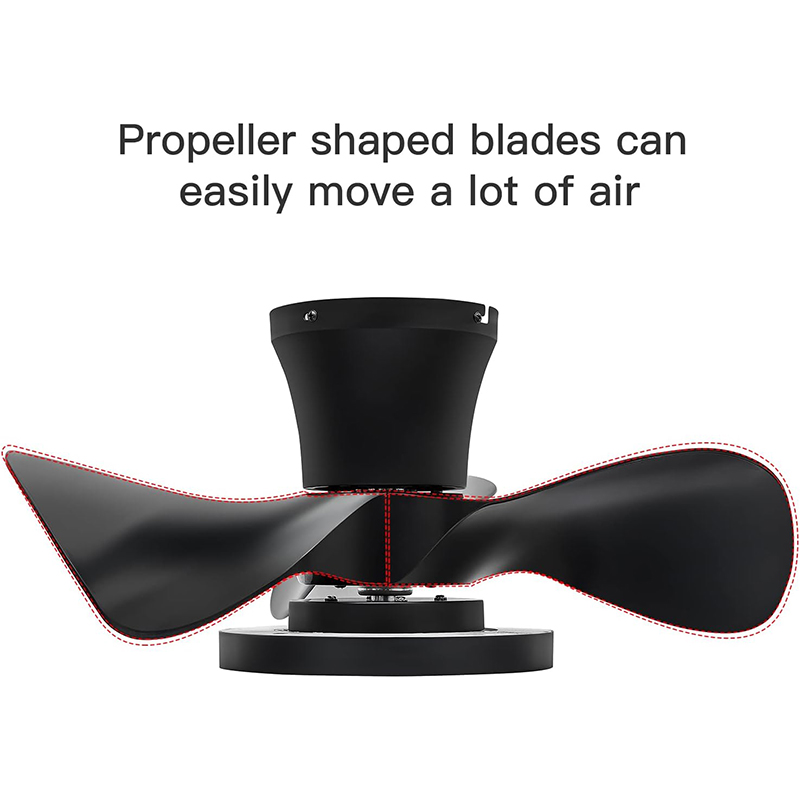 Ventilador de Techo con Lámpara Miramar Negro 22