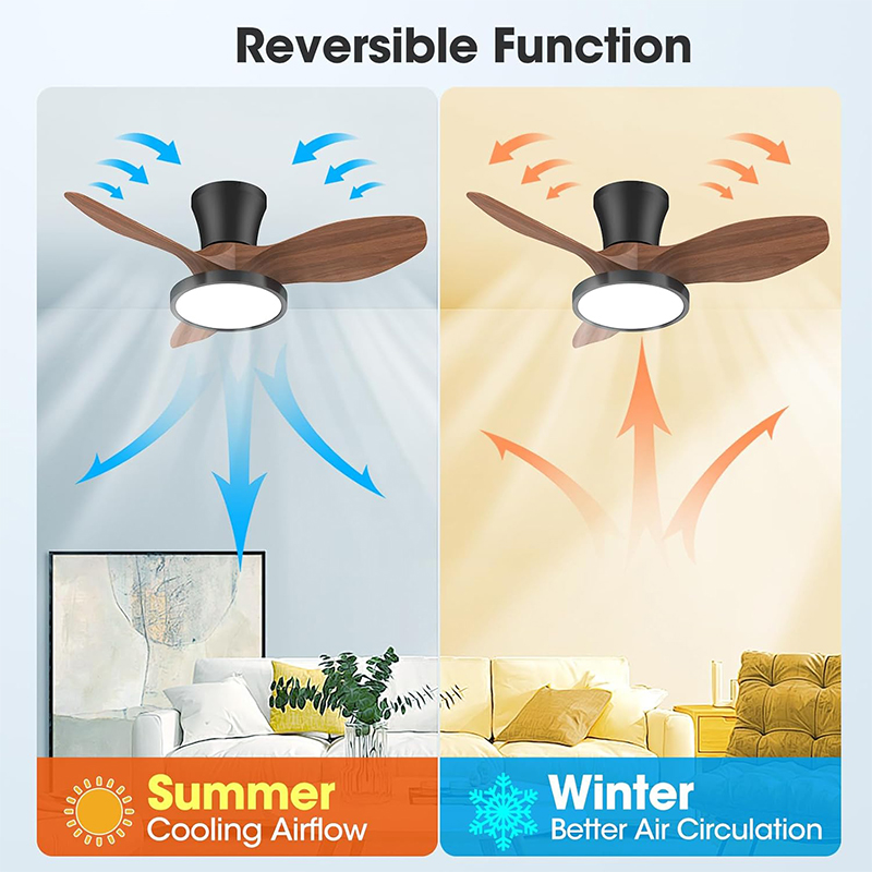Ventilador de Techo con Lámpara Baily Walnut 32