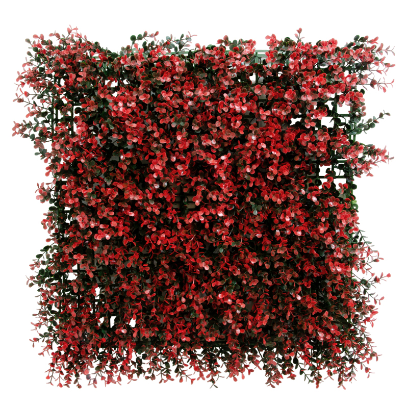 Jardín Vertical Eugenia Roja 50X50cm