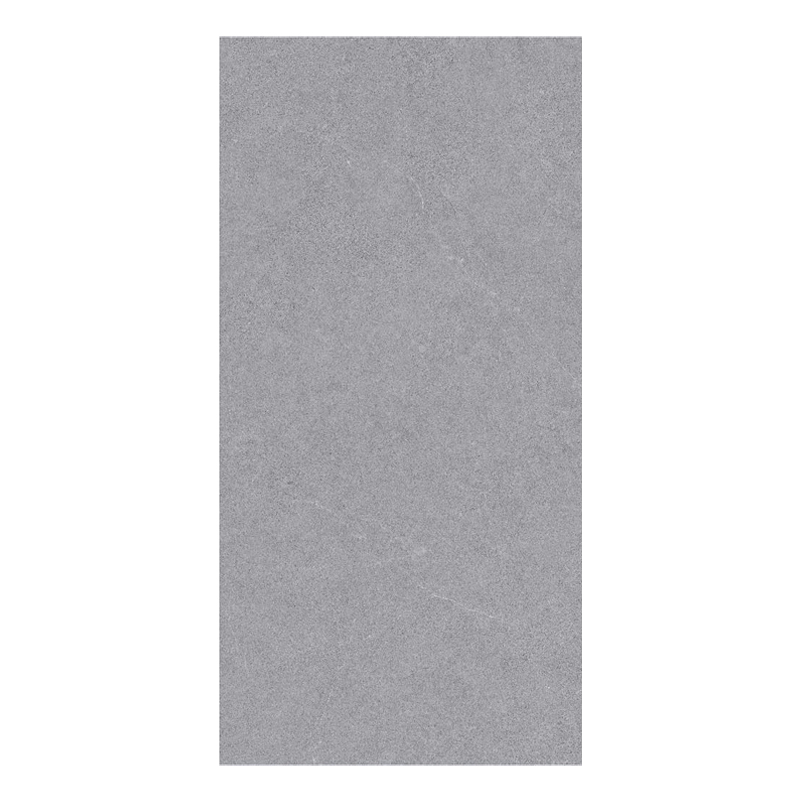 Porcelanato 60x120cm Pisa ASH Mate (.72)