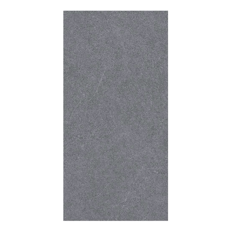 Porcelanato 60x120cm Pisa Lava Mate (.72)