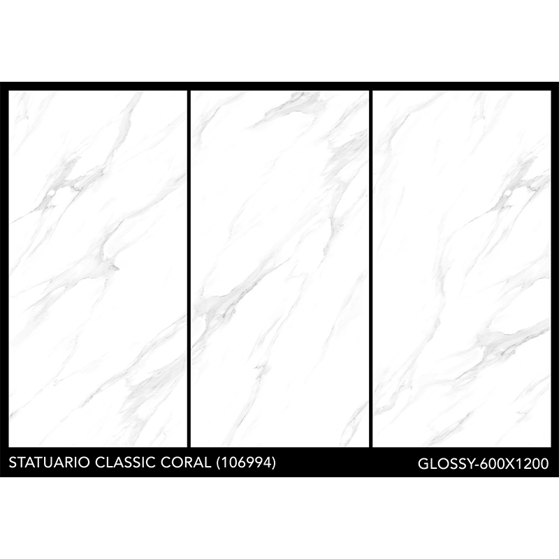 Porcelanato 60x120cm Statuario Coral Pulido India