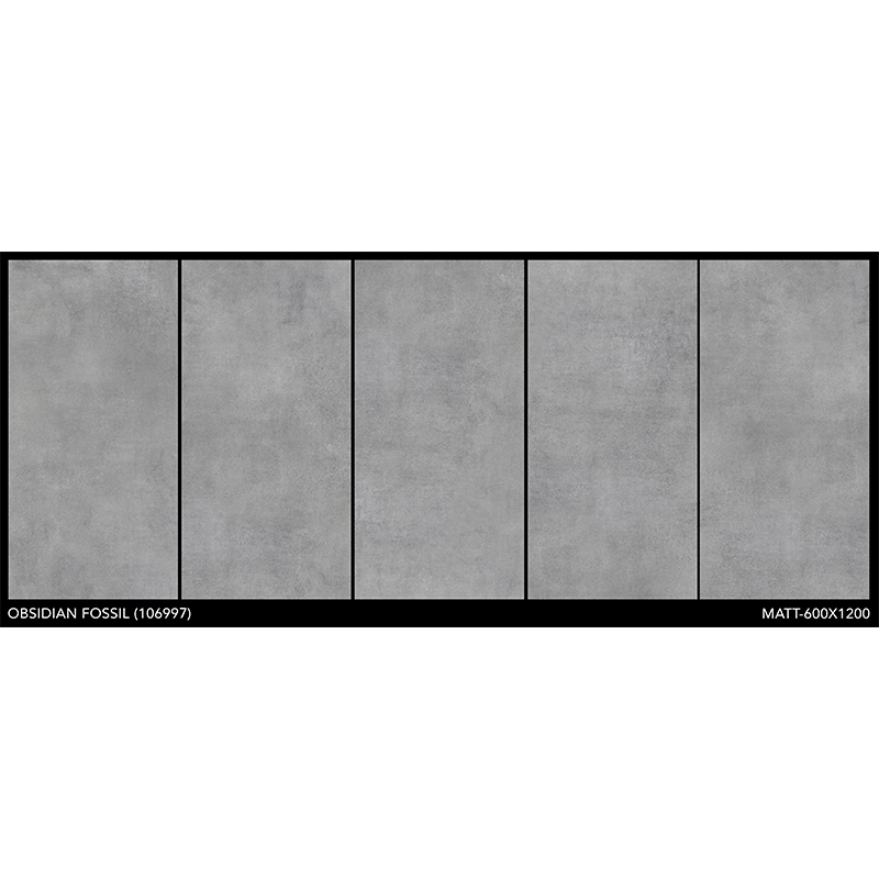 Porcelanato 60x120cm Obsidian Fossil Mate India