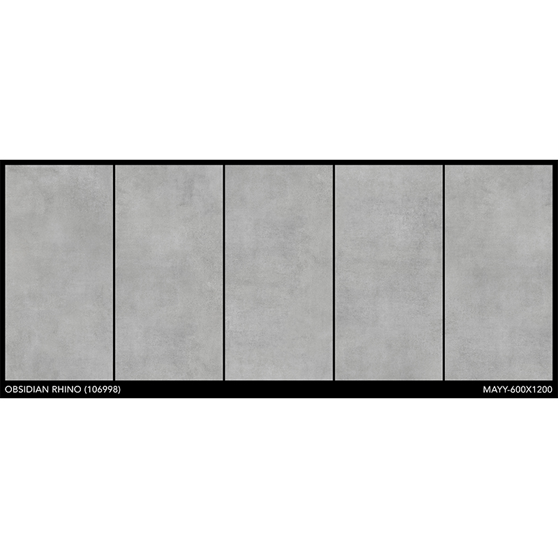 Porcelanato 60x120cm Obsidian Rhino Mate India
