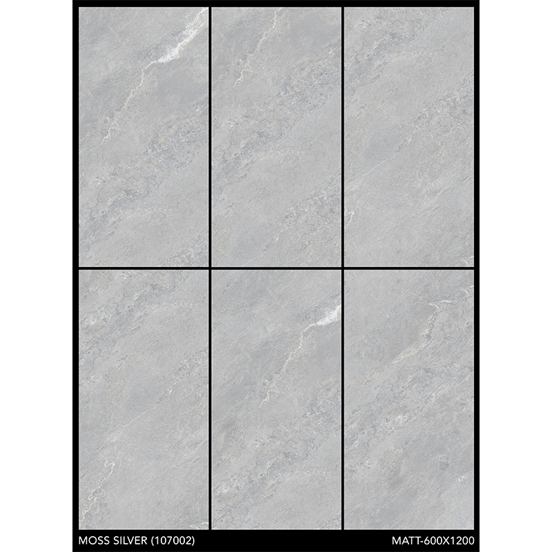 Porcelanato 60x120cm Moss Silver Mate India