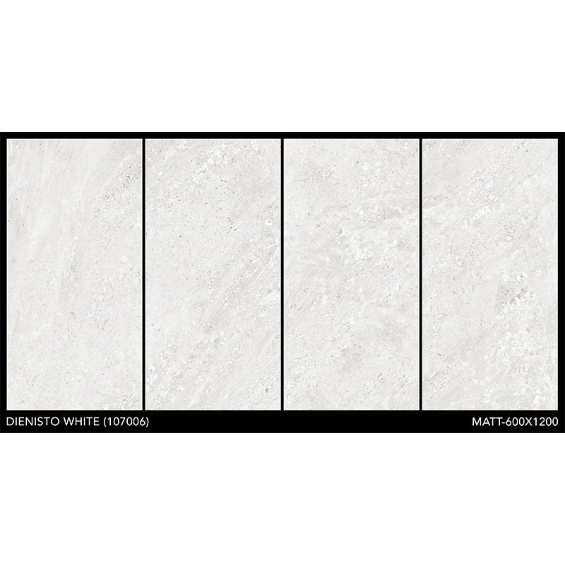 Porcelanato 60x120cm Dienisto White Mate India