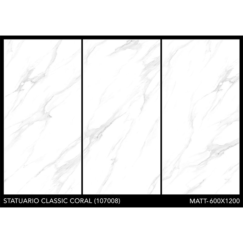 Porcelanato 60x120cm Statuario Coral Mate India