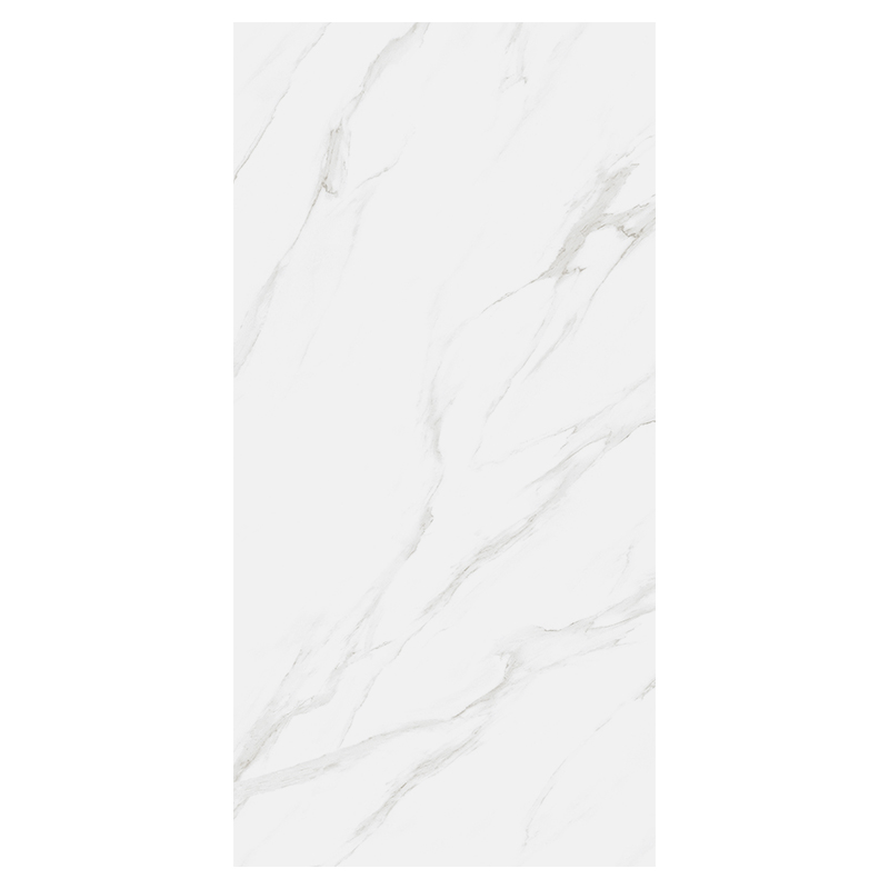 Porcelanato 60x120cm Statuario Coral Mate India