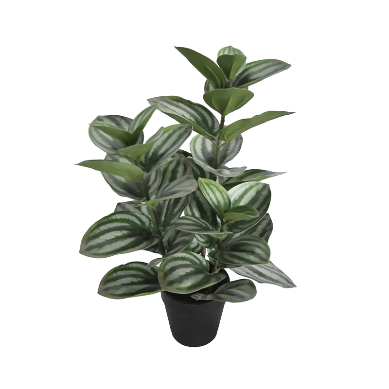 Planta Artificial Peperomia 40cm