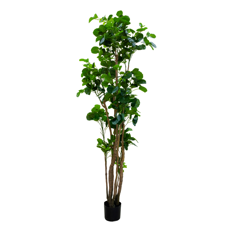 Planta Artificial Aralia 200cm