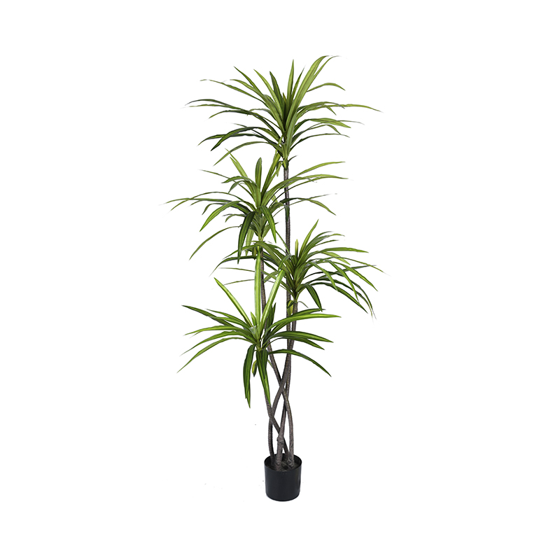 Planta Artificial Dracanea 210cm