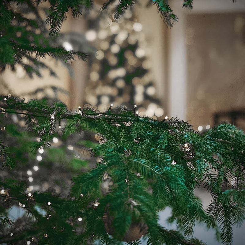 Luces Navideñas Led X300 Blanca Basic 