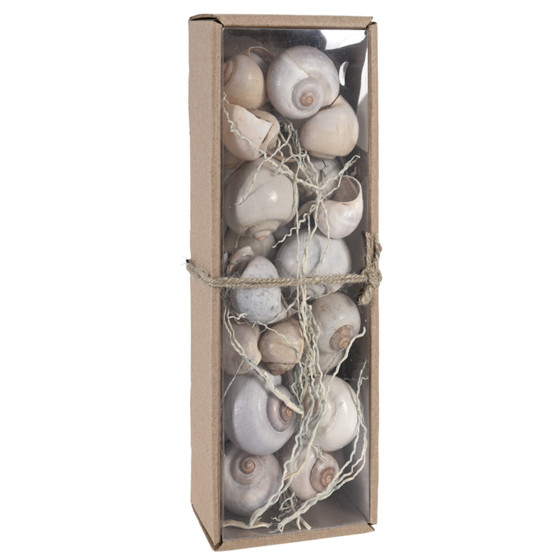Caracoles Decorativos Blancos