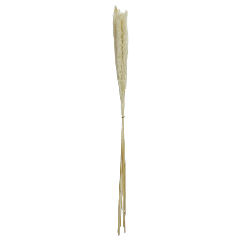Rama Seca Blanca 75cm