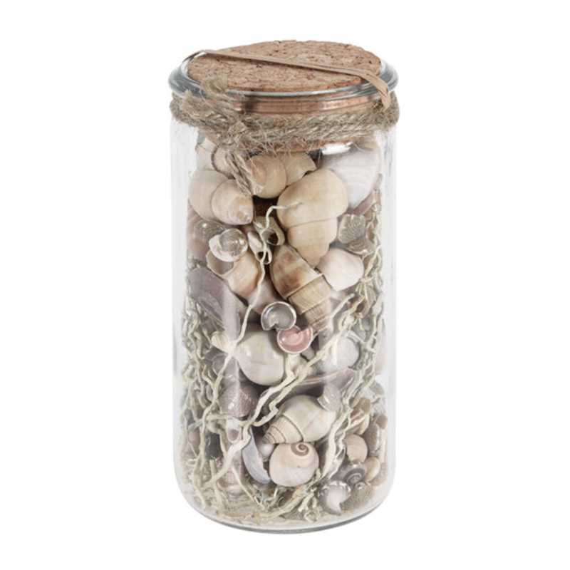 Caracoles Decorativos Blancos en Frasco