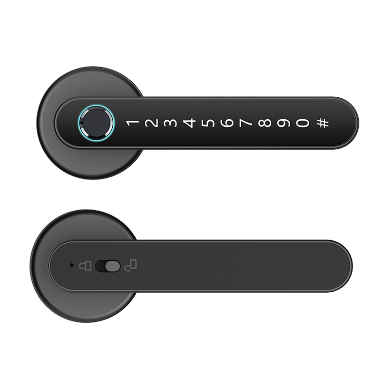 Cerradura Manija Wifi FP-A02 Smart Davenport