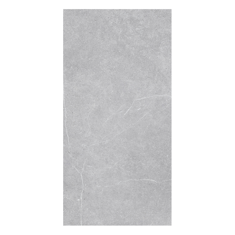 Porcelanato Novastone Silver Mate 60x120cm