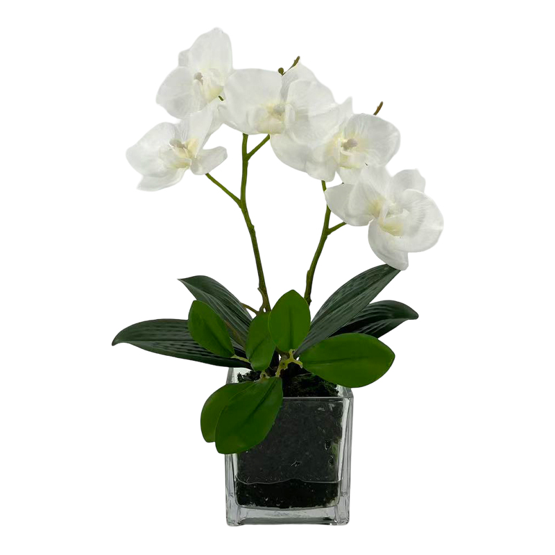 Maceta Phalaenopsis Vidrio Blanca 30cm