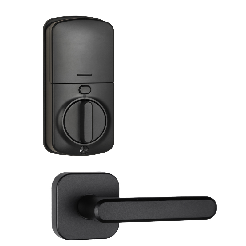 Cerradura Smart Huella con Wifi Manija DS0 Negra
