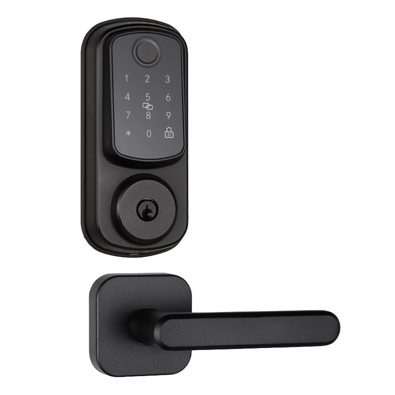 Cerradura Smart Huella con Wifi Manija DS0 Negra
