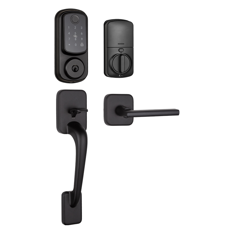 Cerradura Smart Huella con Wifi Manillón 5A  DS02B Negra