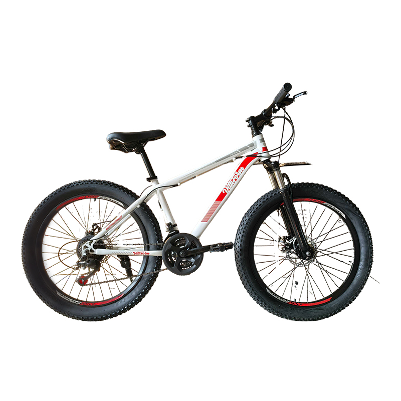 Bicicleta 20" Alpine 3.0 21V Blanca Vitaform