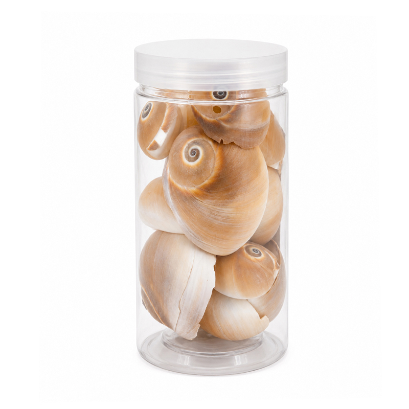 Conchas Caracol Luna 200gr Decohome