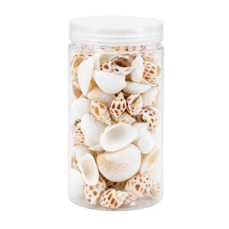 Conchas Cauries Mix 400gr Decohome
