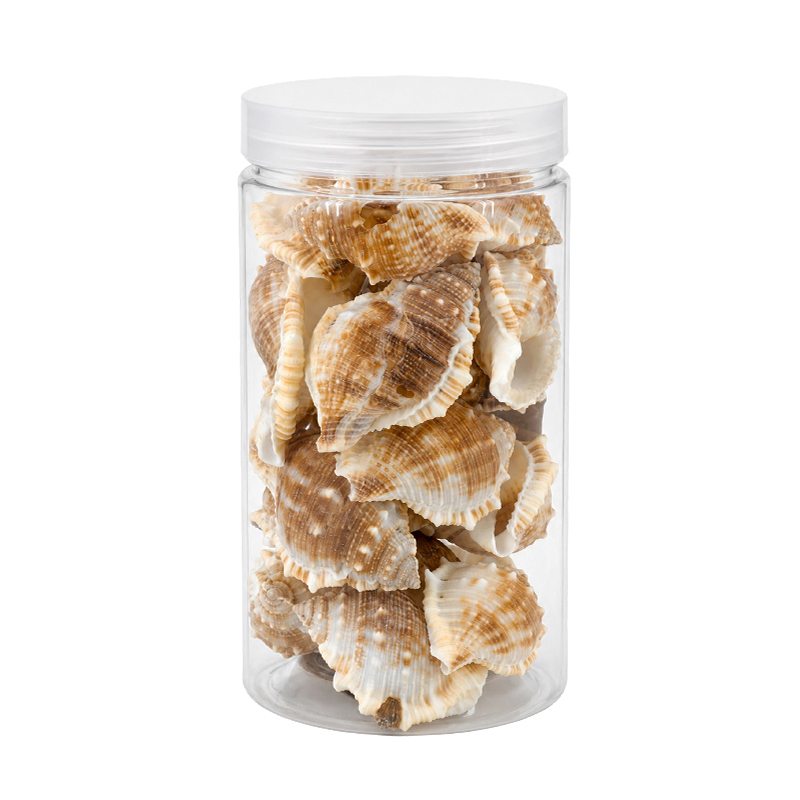 Conchas Caracol Murex 300gr Decohome