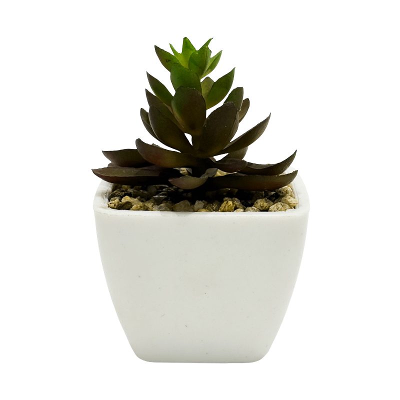 Maceta Suculenta Campfire 8cm