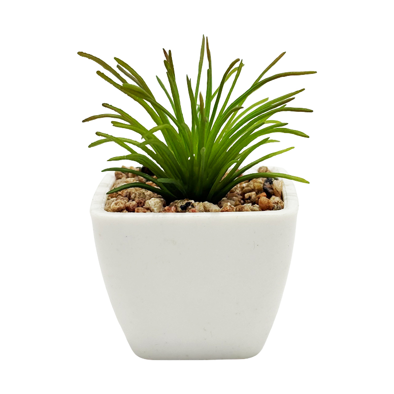 Maceta Suculenta Cedum 8cm