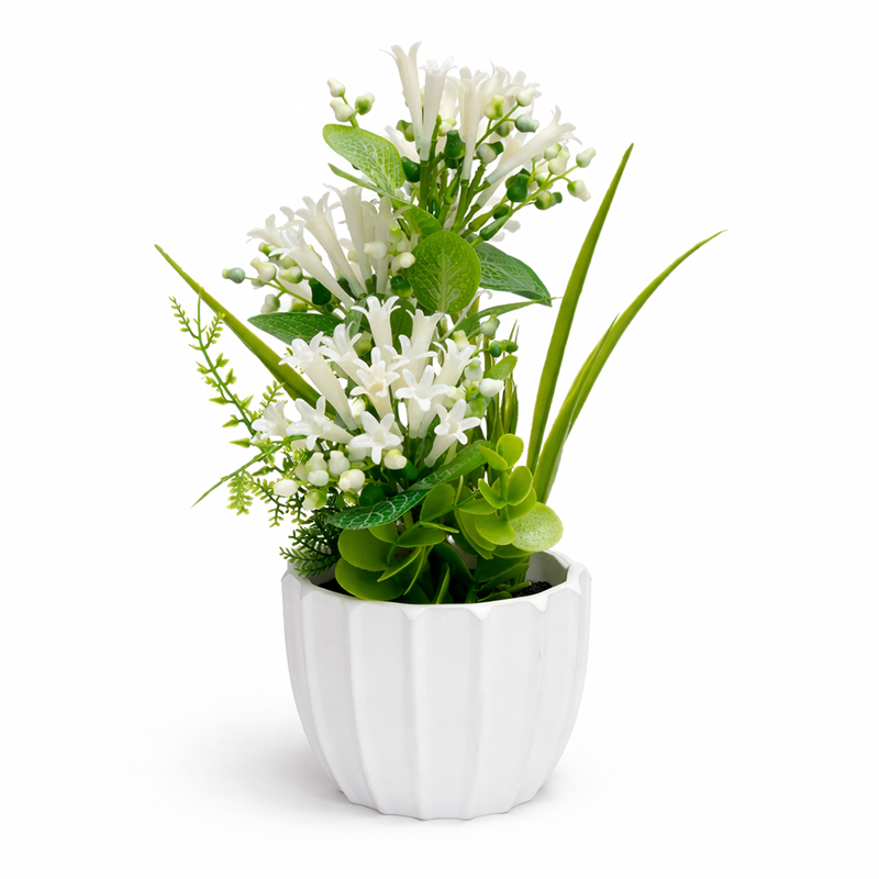 Maceta Blanca con Nardo Blanco 26cm 