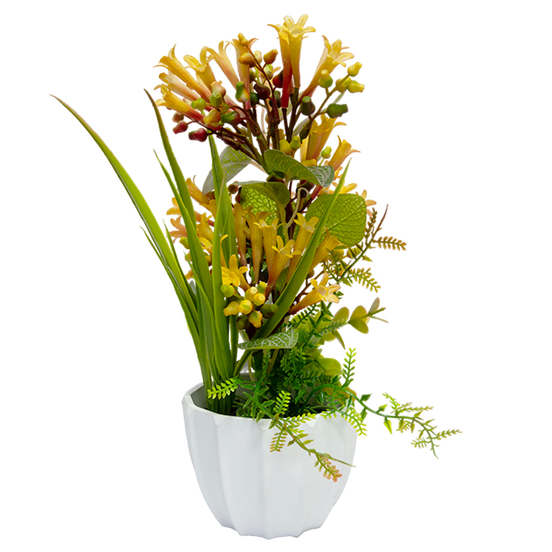 Maceta Blanca con Nardo Amarillo 26cm 