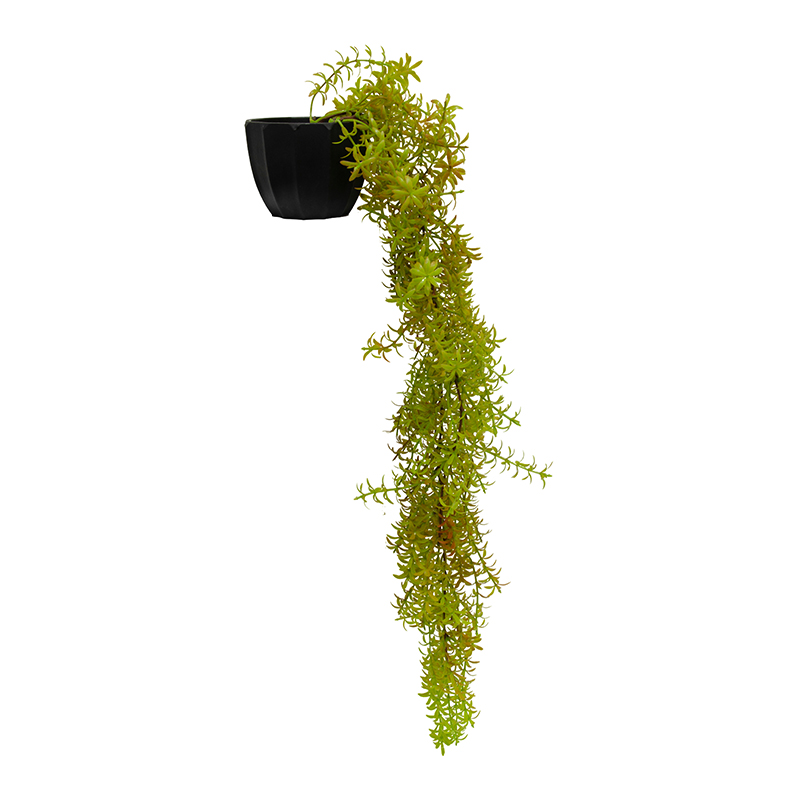 Maceta Negra con Hojas Angelinas 50cm