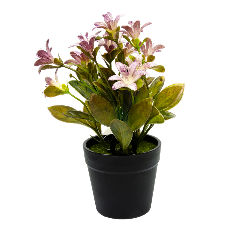 Maceta Negra con Jazmín Lila 20cm