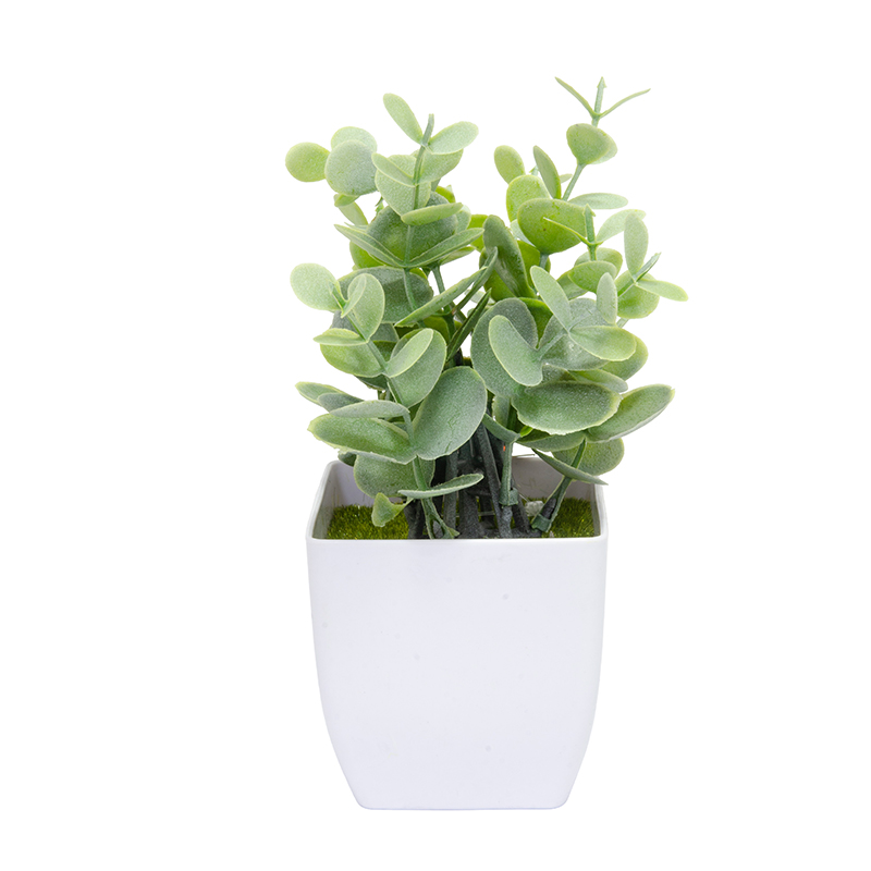 Maceta con Hojas Eucalipto 18cm