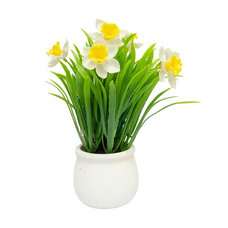 Maceta Cerámica con Narciso Blanco 26cm
