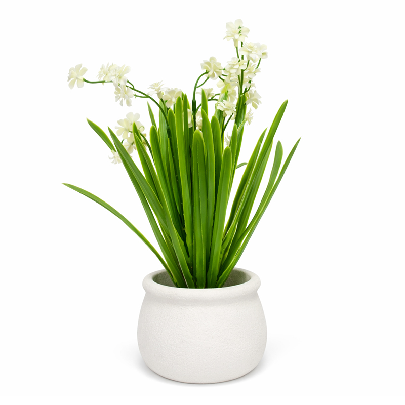 Maceta Cerámica con Jacinto Blanca 28cm