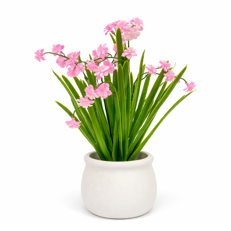 Maceta Cerámica con Jacinto Rosa 28cm